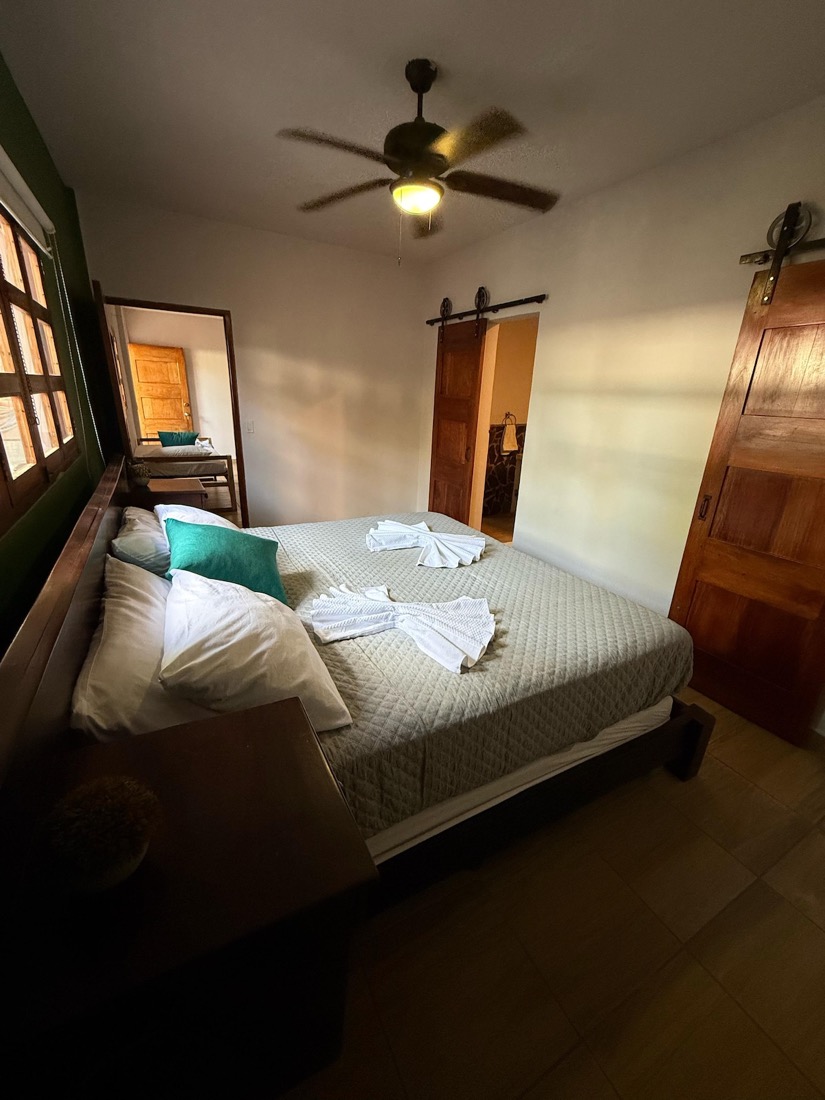 Junior Suite — king bed with a green accent wall