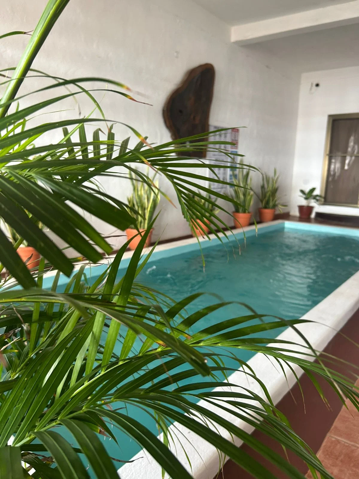 The indoor pool